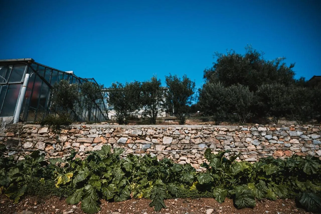 Farm stay Agriturismo Rose Di Pietra Pietra Ligure Italy