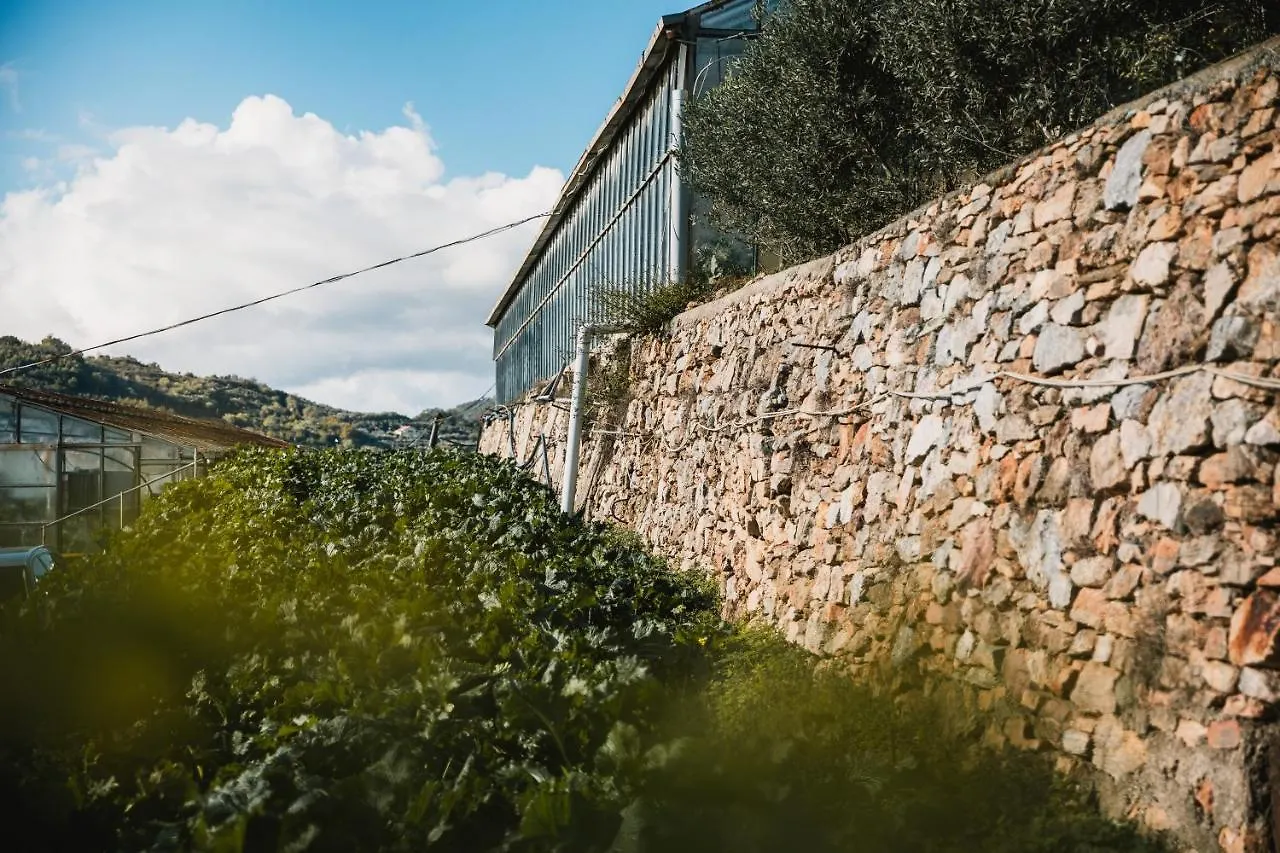 Agriturismo Rose Di Pietra Pietra Ligure 0*,