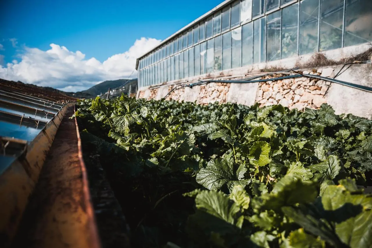 Agriturismo Rose Di Pietra Pietra Ligure